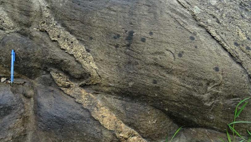 Damestenen, detalje. Geopark Det Sydfynske Øhav